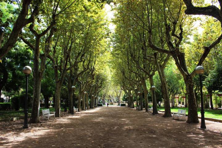 El parque Miguel Servet, un sitio perfecto para pasear a la hora de la siesta. Foto: Shutterstock.