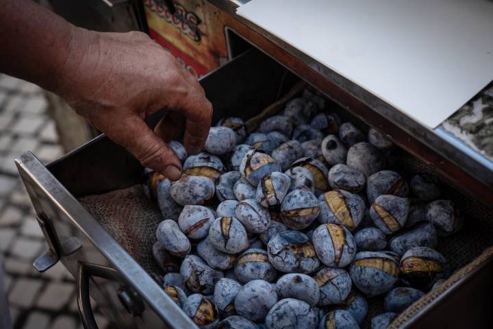 Também vende castanha Martaínha, vinda de Sernancelhe.