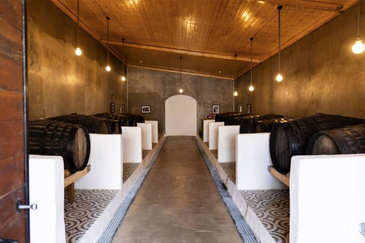 bodega de vino de pasas