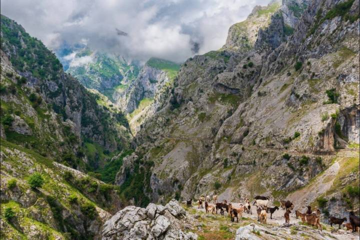 Explorar a melhor das rotas nas Astúrias