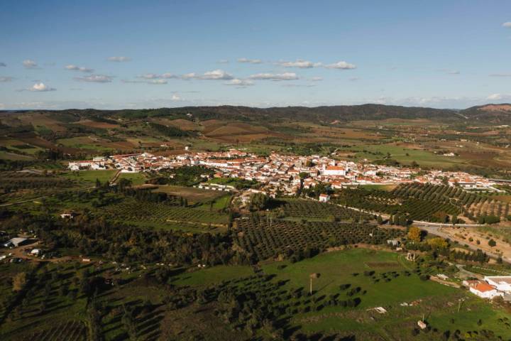 A rota do Vinho de Talha de Vila de Frades tem quase 20 adegas associadas