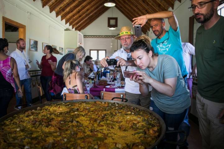 2017_09_12_grande_(Fotografía Eva Máñez) Cosecha del arroz Tartana en la Albufera de Valencia. Toni Montoliu, cocinero de Meliana prepara una paella valenciana en  la Finca Estell para los embajadores internacionales de la paella.
