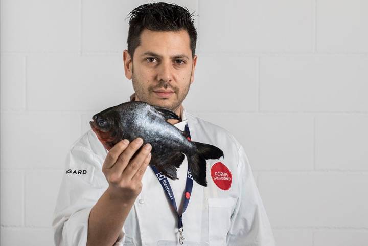 El cocinero Diego Gallegos, el 'chef del caviar', que ahora apuesta por las pirañas.