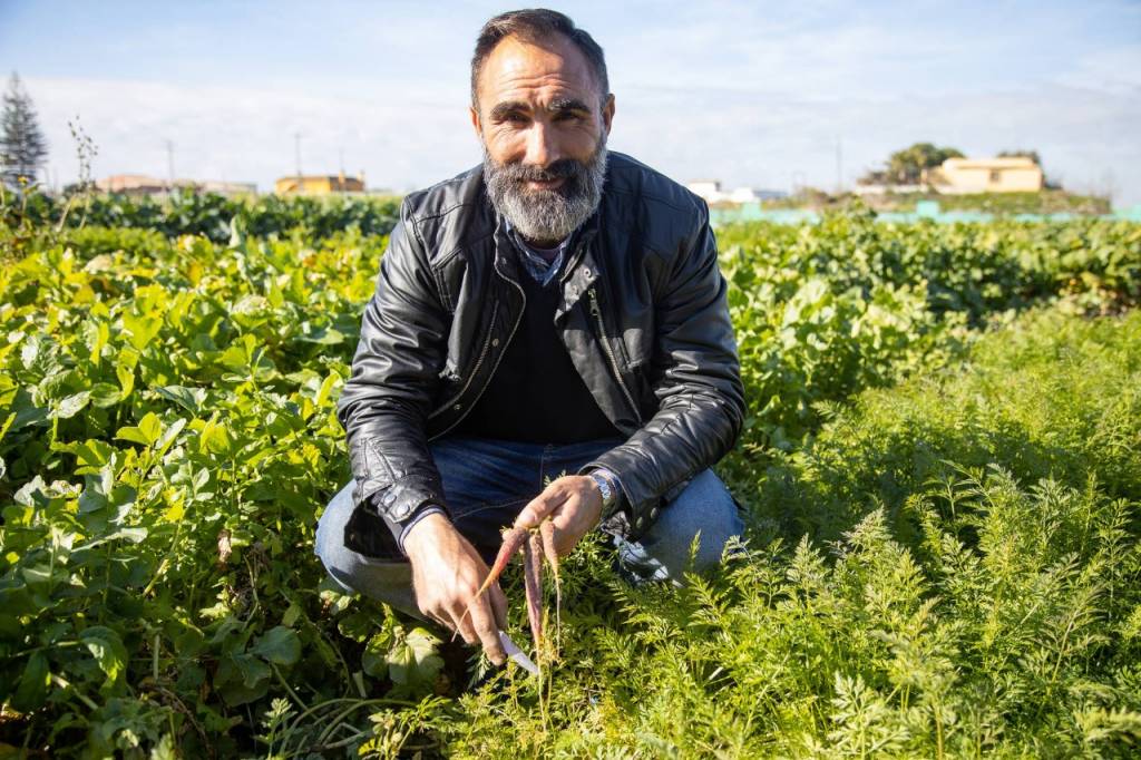 La huerta salada de la playa de Sanlúcar