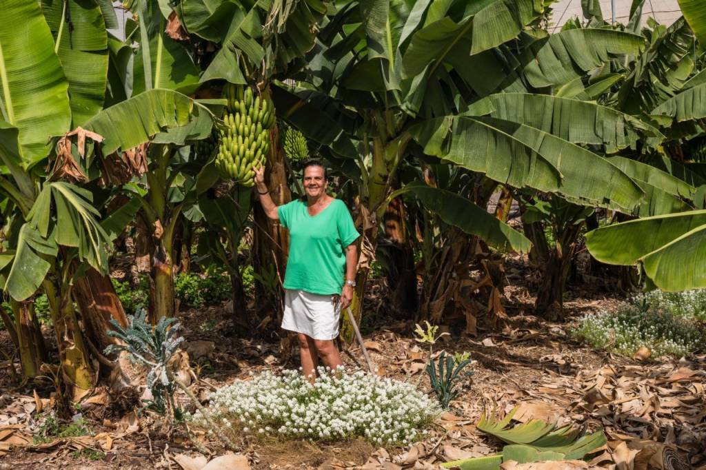 El Edén de los plátanos y otras frutas tropicales cultivados en ecológico