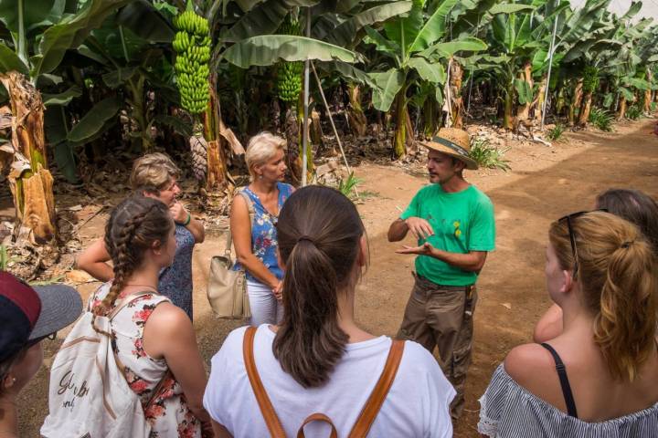 Grupo realizando la visita guiada por 'Las Margaritas' para conocer los pormenores del cultivo.