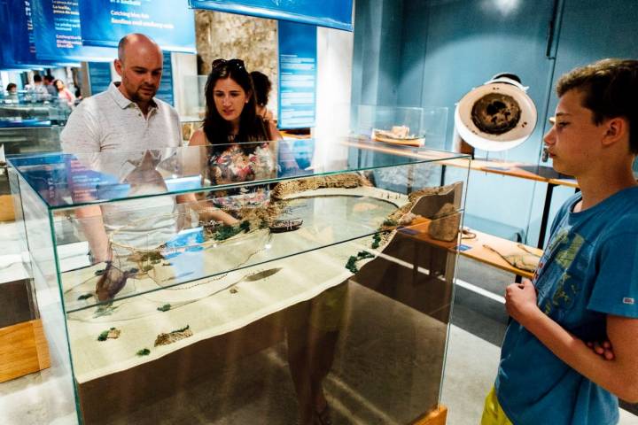 El de Palamós es el primer Museo de la Pesca en abrirse en todo el Mediterráneo.