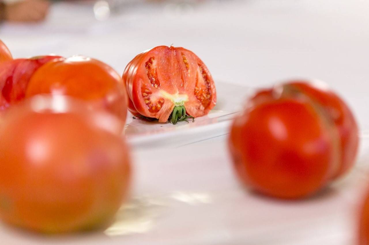 El tomate, el ‘must’ de cada verano