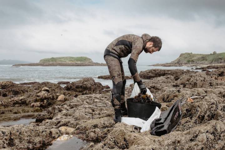 Alberto, de 'Conservas de Mar de Ardora' transvasa las algas del cesto al saco, en Galicia.