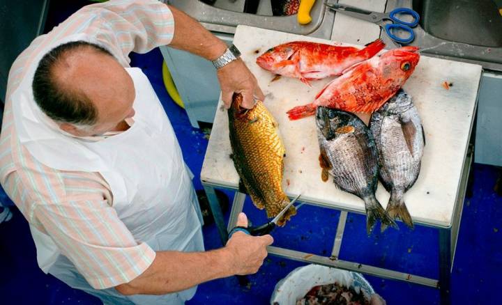 Los impresionantes pescados de anzuelo de pescadería Freire