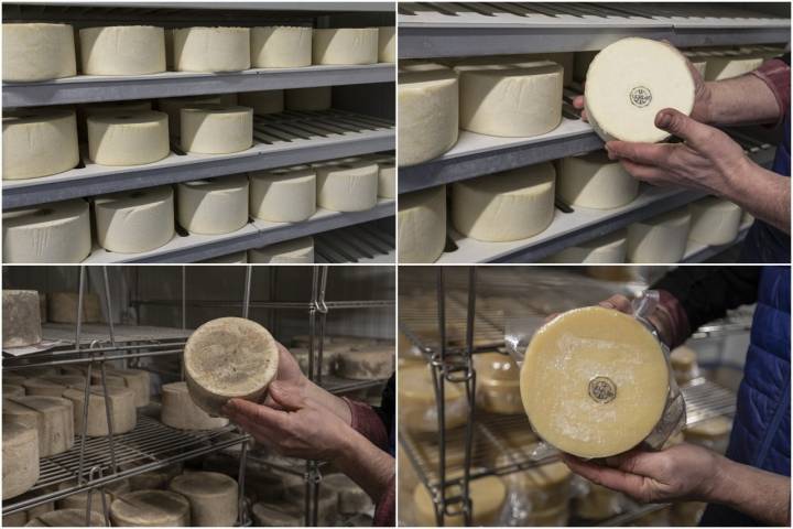 Producción queso Quesería Kerixara