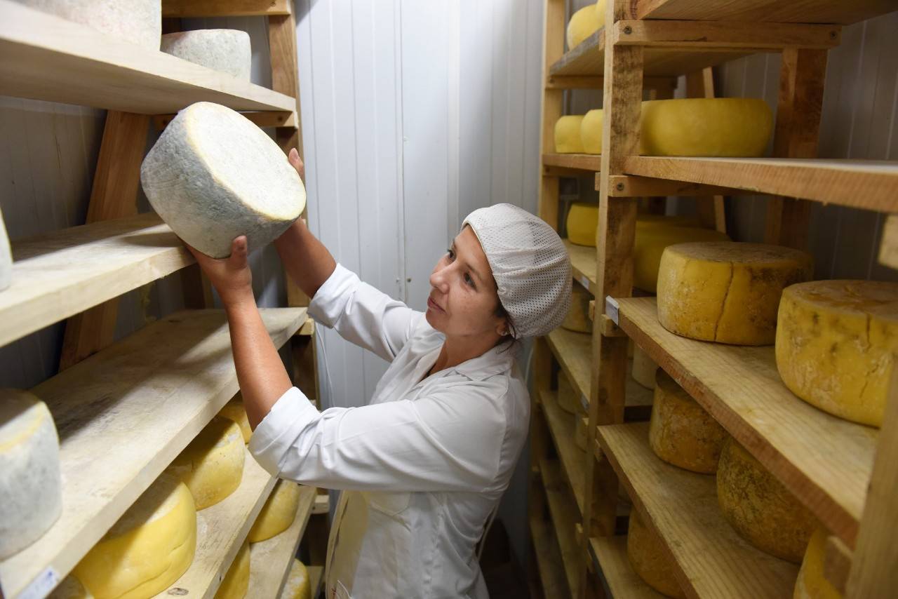 La revolución tranquila del queso asturiano