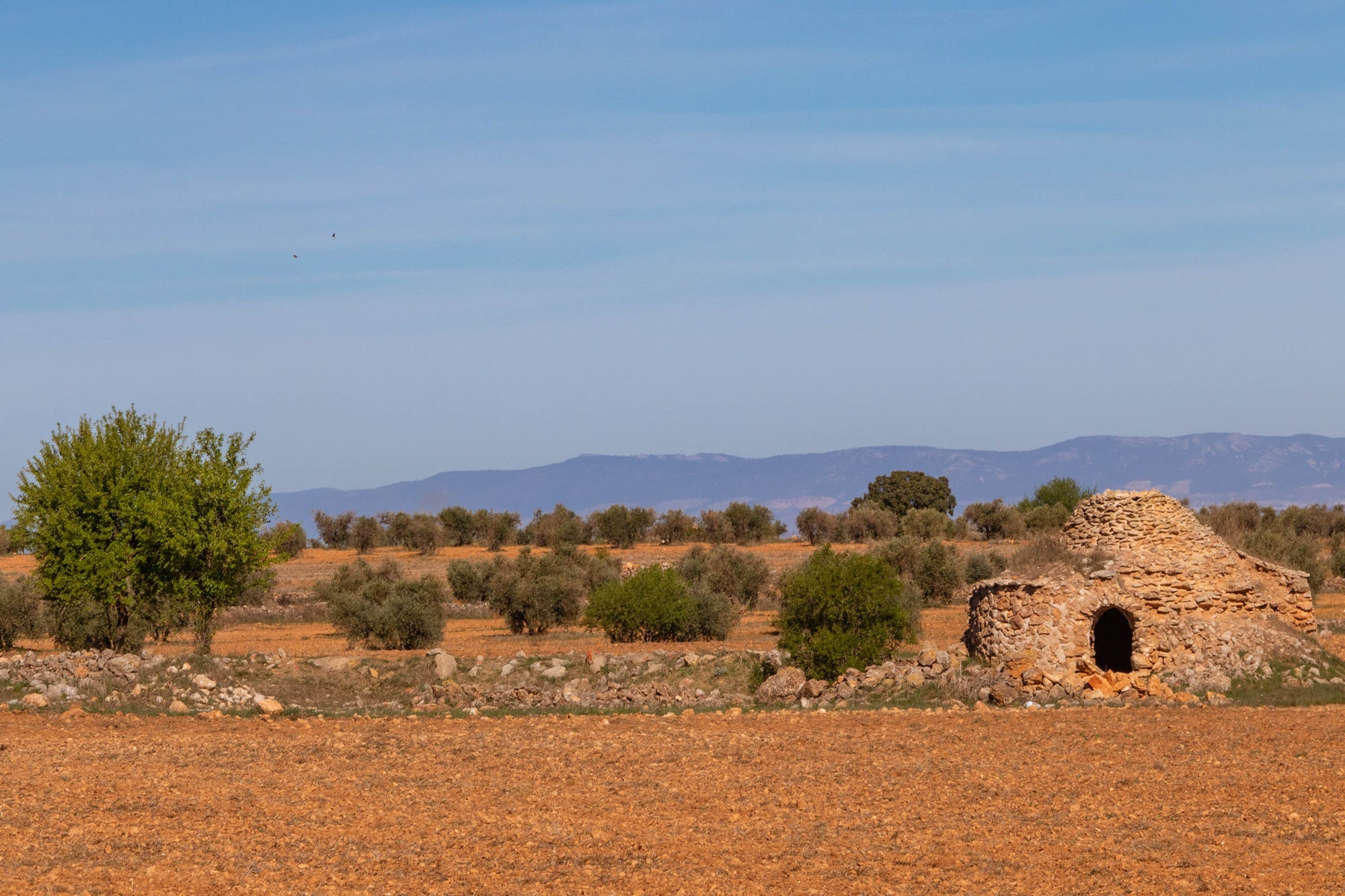 Refugio pastores La Mancha