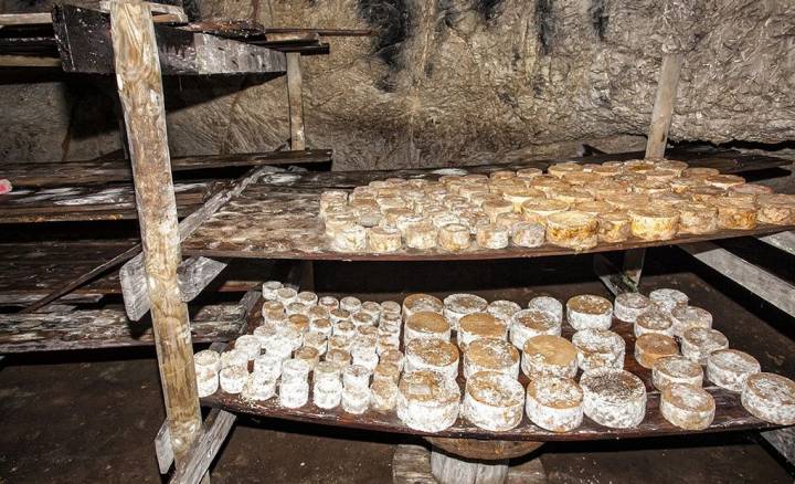 Los quesos Picón sobre baldas de madera dentro de la cueva La Sotorraña.