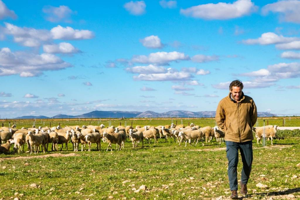 Lo que hay tras la etiqueta 'Queso de Granja' manchego