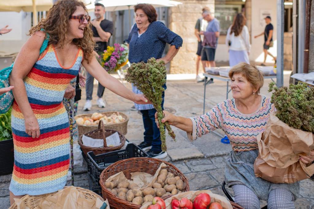 Los orballos de agosto que garantizan el profundo aroma del orégano del país