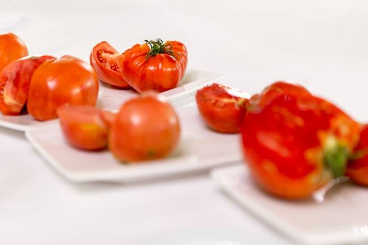 Tomates antiguos de Navarra: tomates abiertos