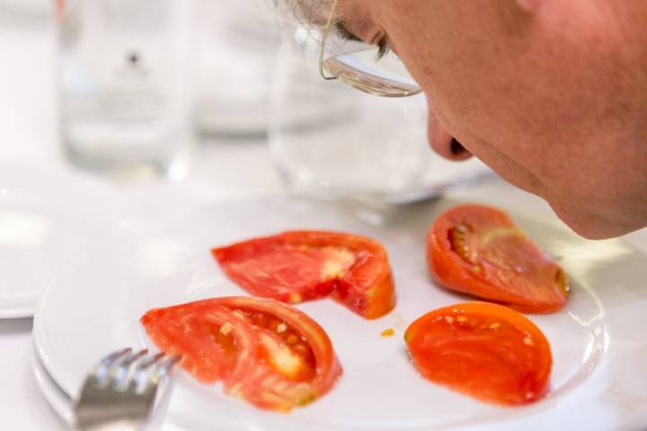 Tomates antiguos de Navarra: cata en Pamplona de José Uranga
