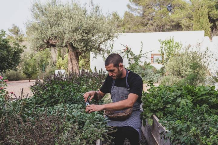 Gonzalo en el jardín de hierbas aromáticas.