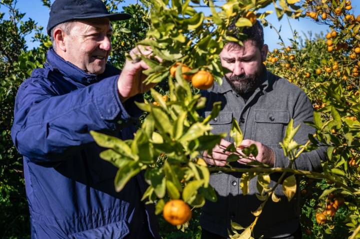 Vicente Todolí y Luis Valls en la Todolí Citrus Fundació