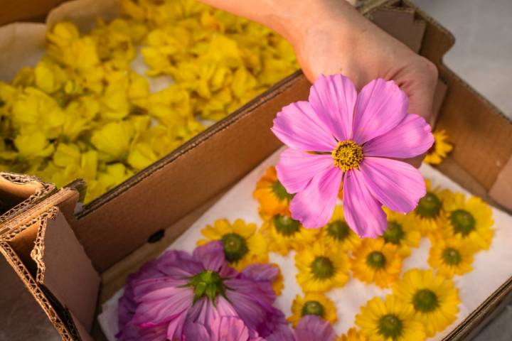 Algunas de sus recetas incorporan flores comestibles.