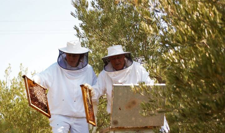 María José y su padre recolectan la miel en los campos que la familia tiene en Alhama de Murcia. Foto: María José