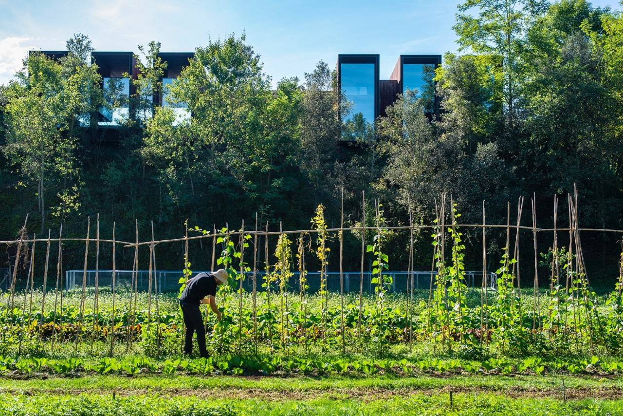 Los mandamientos de gastronomía responsable de los Sol Sostenible