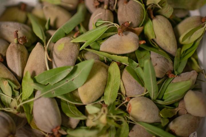 Almendras tiernas en el restaurante Bolboreta de Madrid.