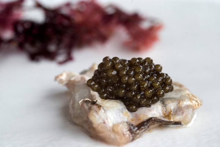 cochas caviar la huertona