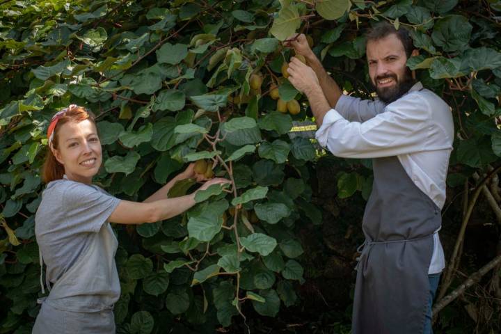 María Cambeiro y Alberto Cruz cogiendo kiwis en la finca donde está ‘Landua’.