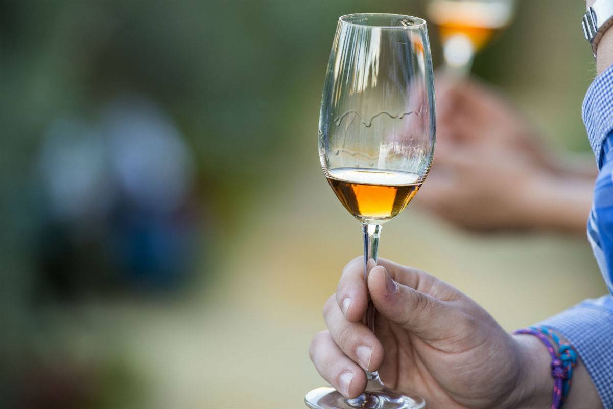 Tipología de vinos de Jerez