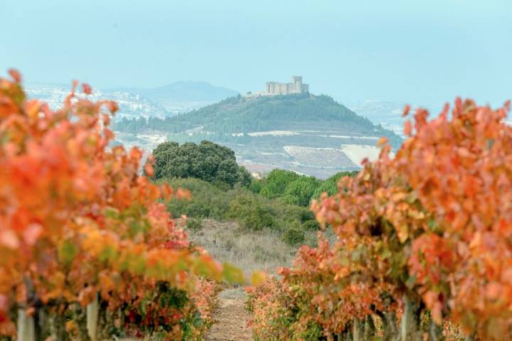 Bodega Bideona (Rioja Alavesa): castillo de Davalillo