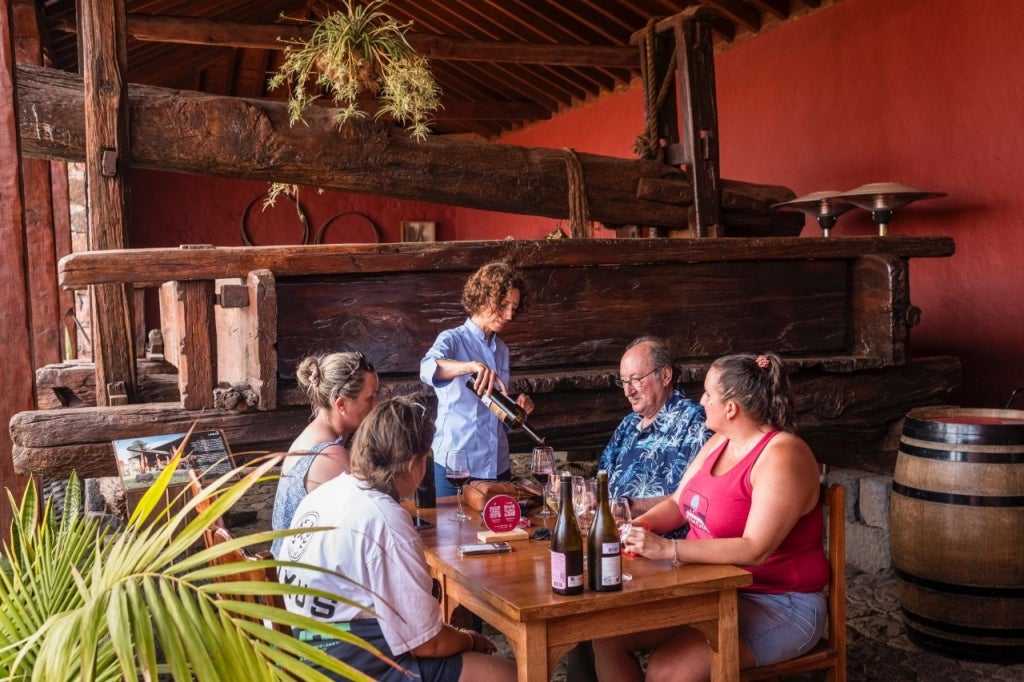 Una isla con seis DO de vinos y muchas barras para catarlos