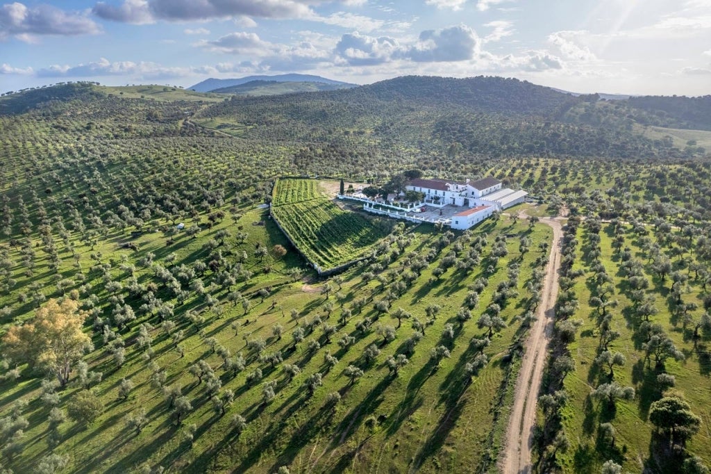 Un cortijo boutique para apearse del mundo en plena dehesa extremeña Un cortijo boutique para apearse del mundo en plena dehesa extremeña