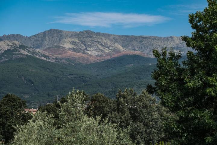 Vista de la Sierra de Gredos desde la casa.