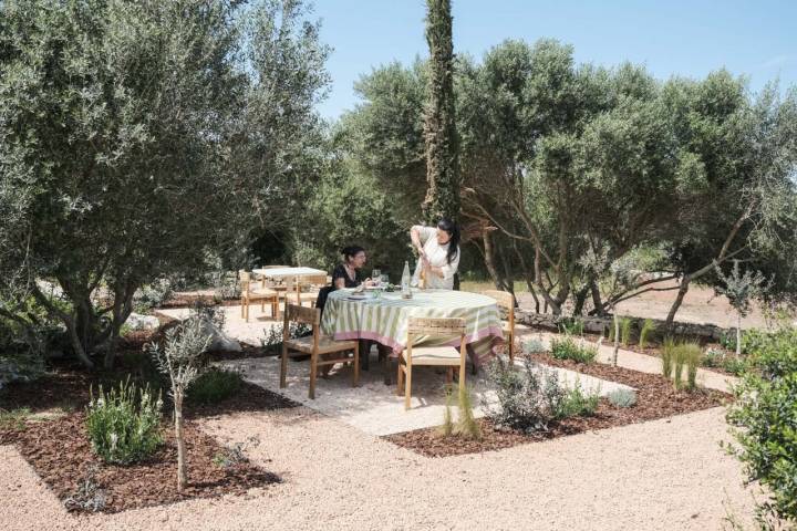 Una mujer sentada en la mesa de la terraza del restaurante rodeada de olivos.