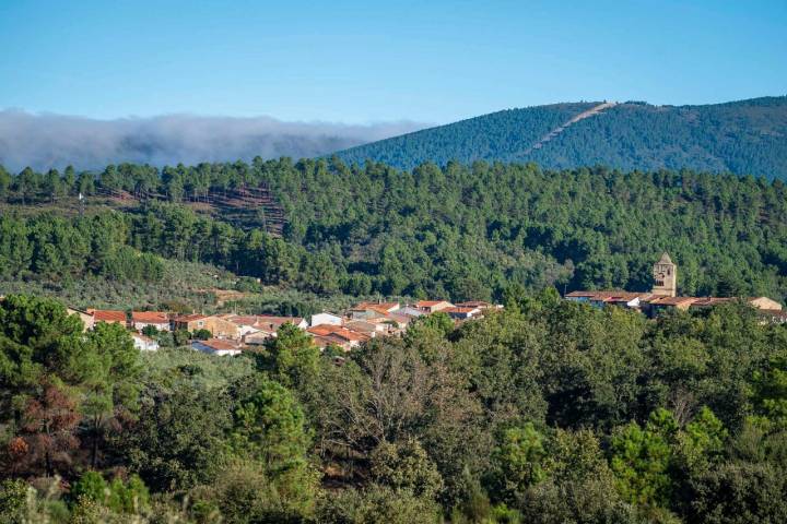 Cabañas en los árboles de Extremadura (Villasbuenas de Gata, Cáceres) |  Guía Repsol