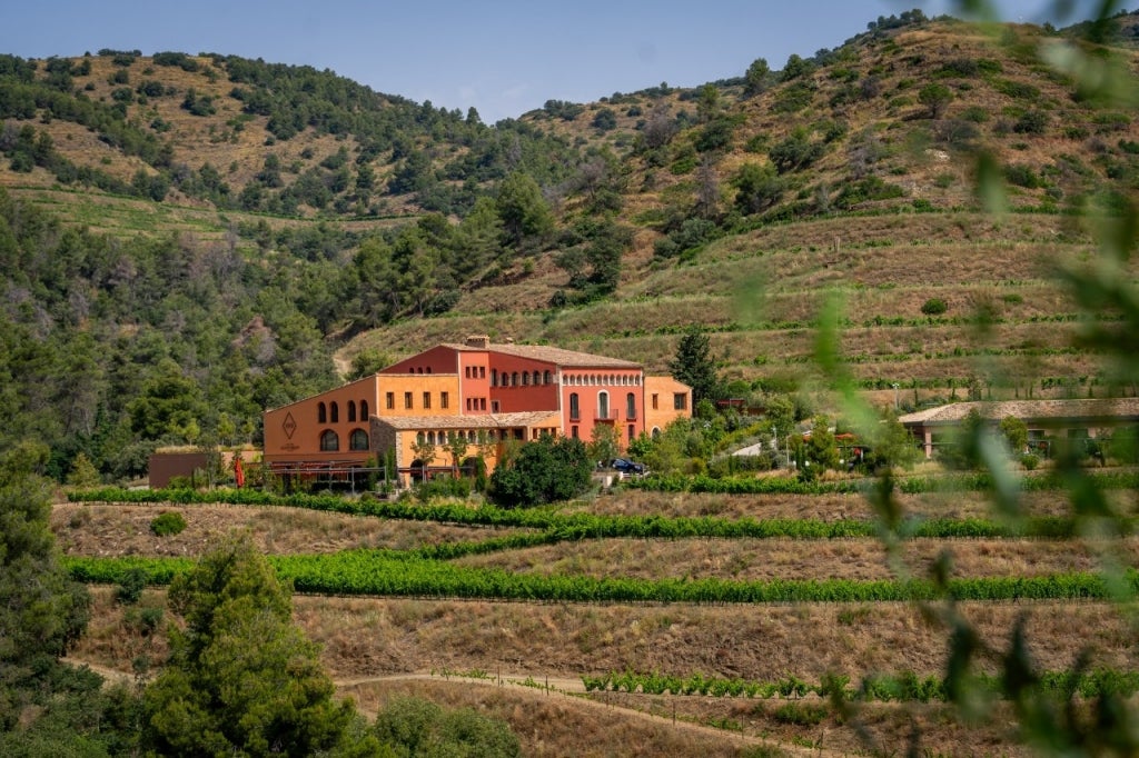Sosiego entre los viñedos centenarios del Priorat Sosiego entre los viñedos centenarios del Priorat
