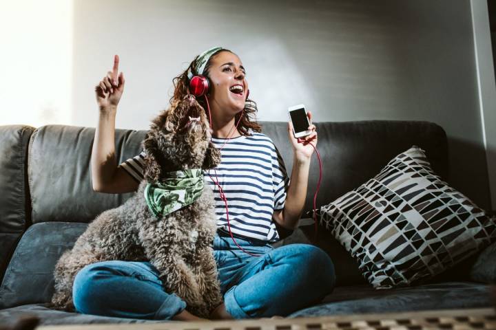 La música es una apuesta segura para pasar un buen rato con tu mascota. Foto: Shutterstock.