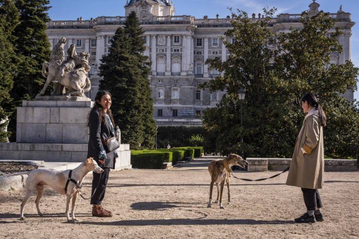 Paseo perro Jardines Sabatini apertura Palacio Real