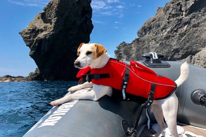 Durante su estancia en Cabo de Gata, Pipper dio un paseo en barco con 'El Noray' y se alojó en 'Mika Suites'. Foto: Instagram Pipper.