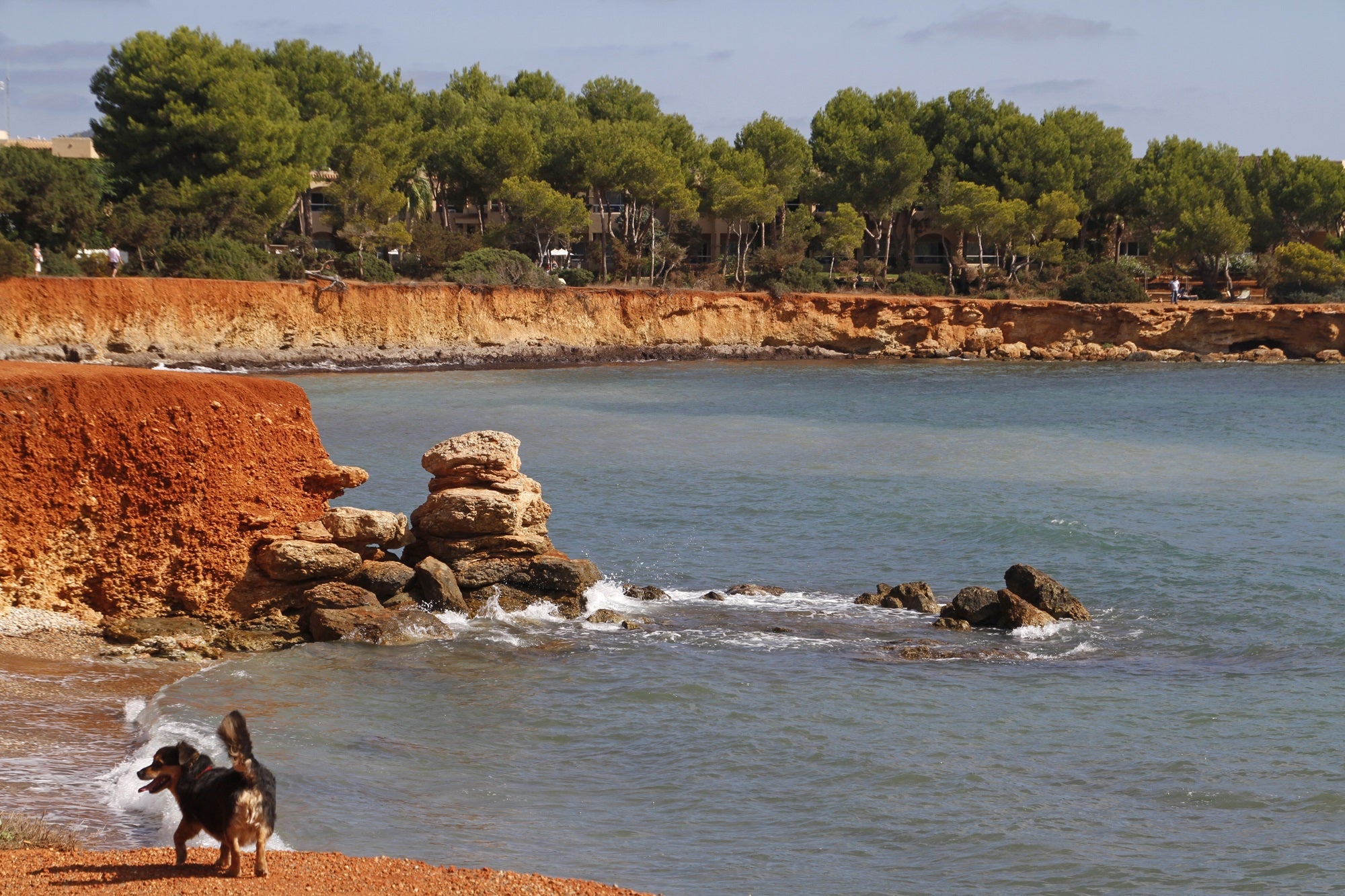 Playas para perros en el Mediterráneo Punta de Es Faralló