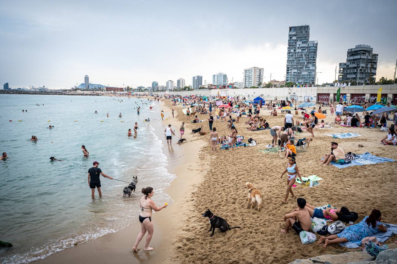 Playas para perros en el Mediterráneo Barcelona Llevant