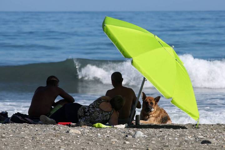 Playas para perros en el Mediterráneo Familia con perro
