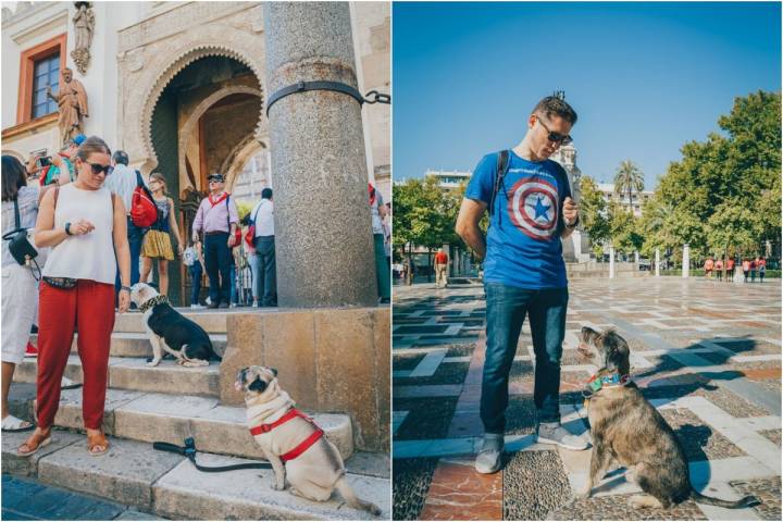 Sergio, el instructor, y su perra Jarta dan instrucciones junto a la catedral. Y dos de los participantes en el Patio de Banderas.