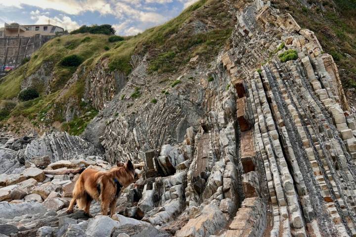 Flysch de Barria (Bizkaia)