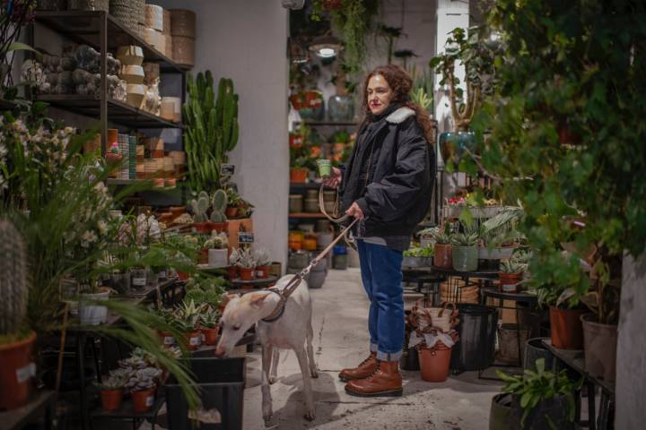 CACTO CACTO. TIENDA DE CACTUS 