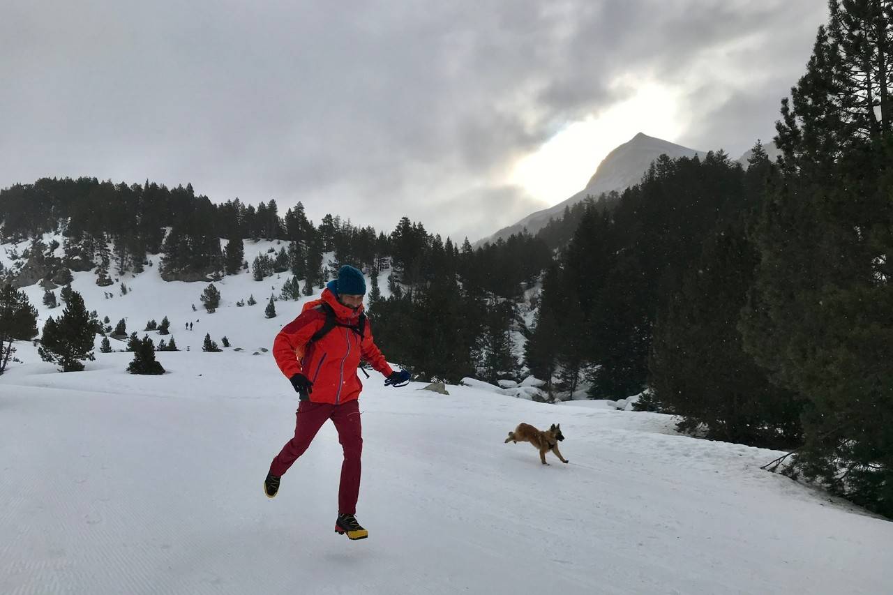 Cruzando la nieve pirenaica con tu mascota
