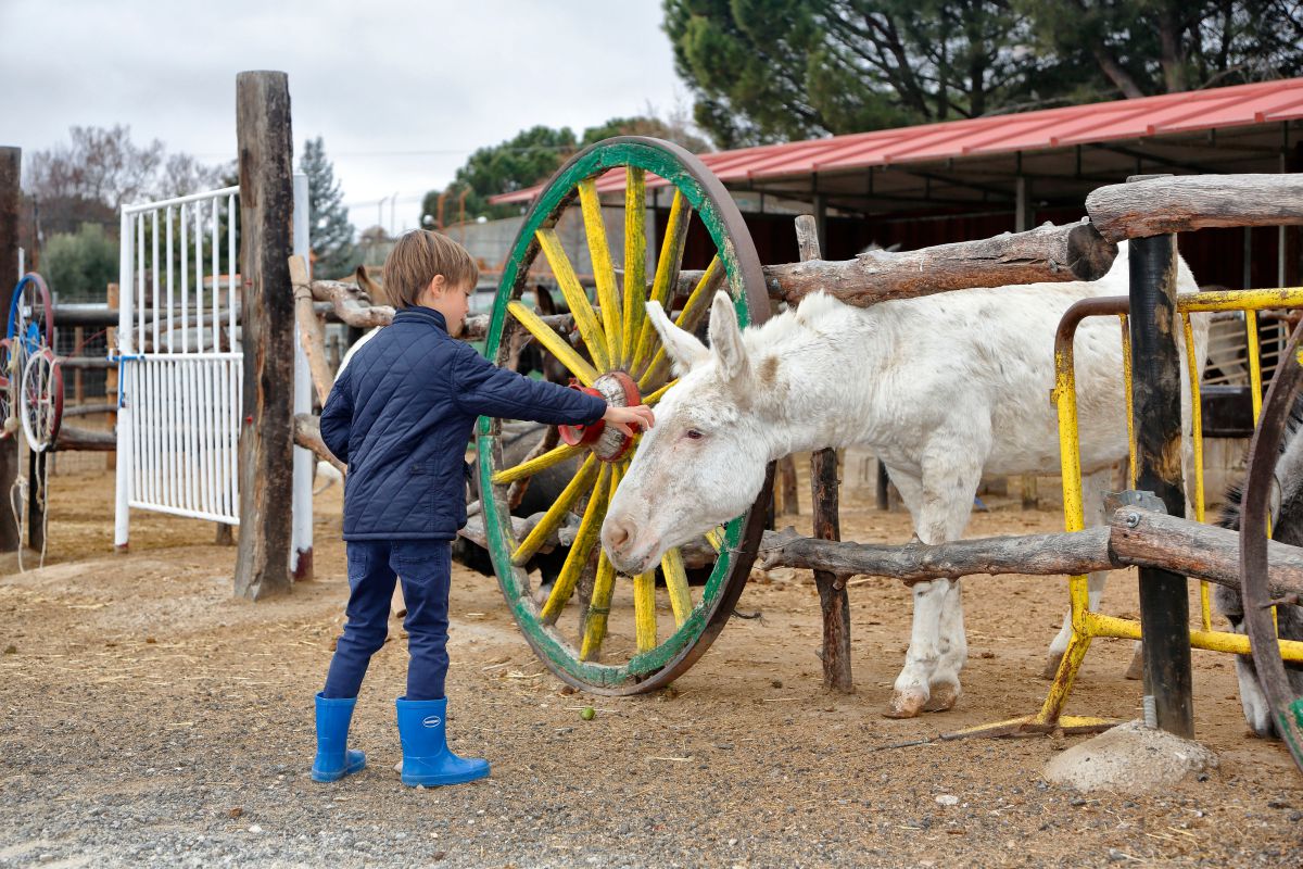 Burrolandia con niños (Tres Cantos, Madrid) | Guía Repsol | Guía Repsol