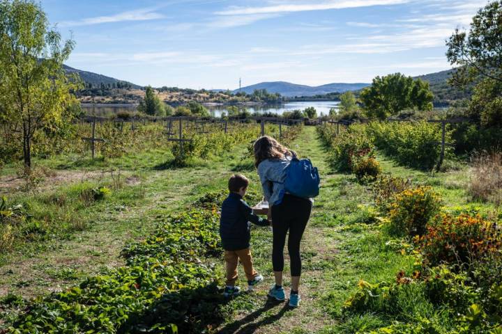 Madre e hijo en la finca Ecos del Lozoya (Madrid).